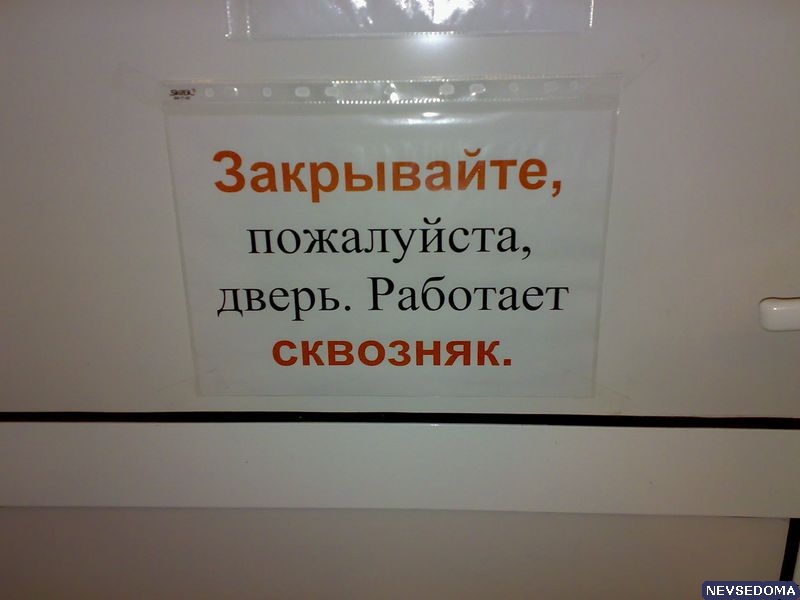 прислал - bruin