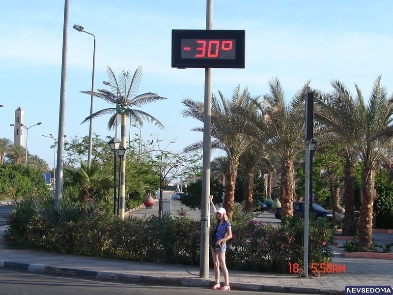 прислал - 024_prislannoe