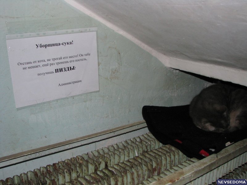 прислал - shmeller