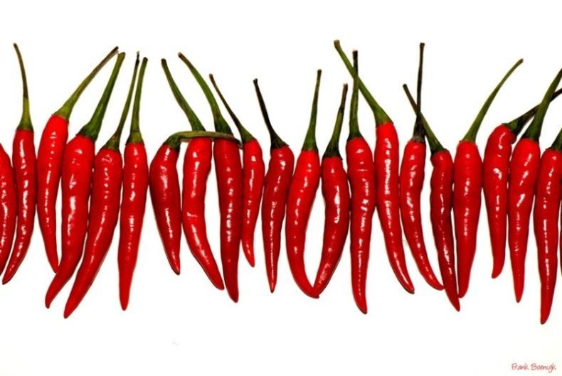 Красотища (16 Фото)