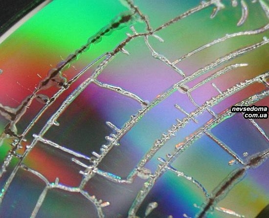 CD-диски в микроволновке