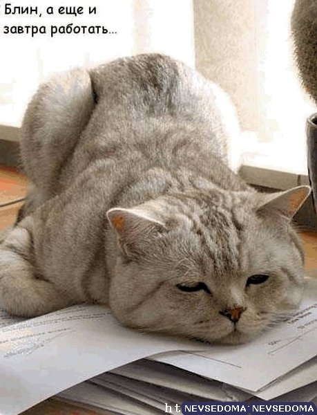 Присланное (27 фото )