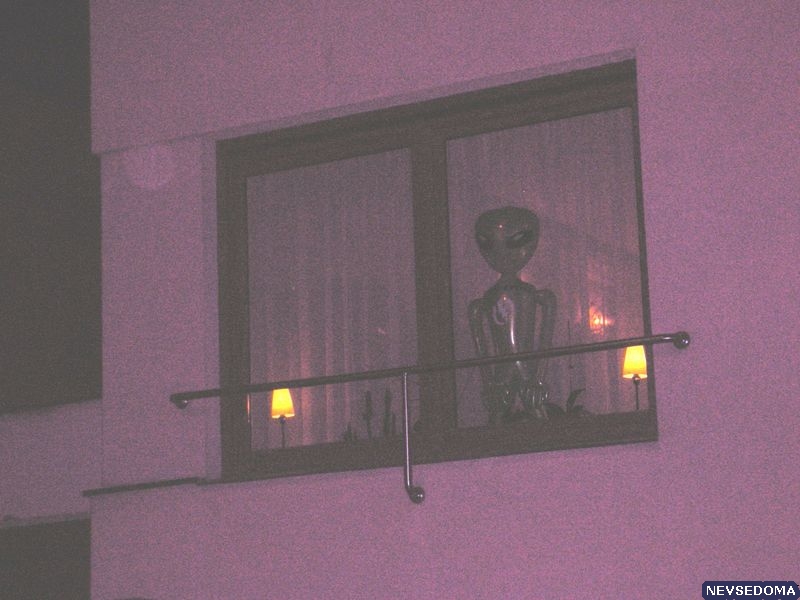 прислал - gawrila22