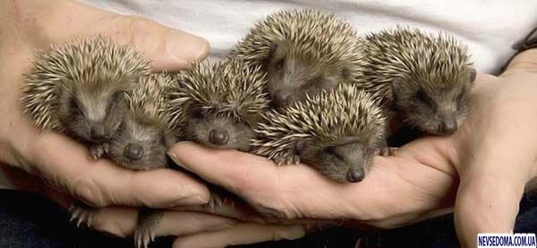 Немного позитивчика (100 фото)