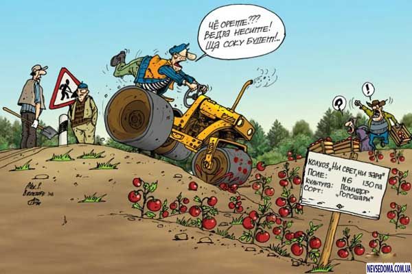 Убойные карикатуры (45 фото)