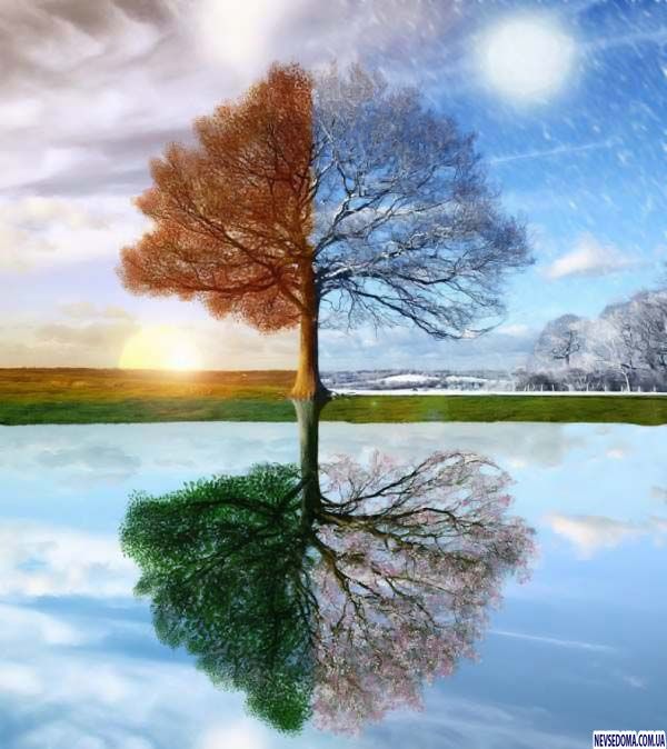 Немного позитивчика (100 фото)