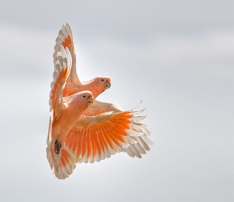 Прикольные картинки (134 фото)