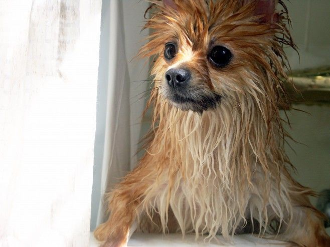 Прикольные картинки (134 фото)