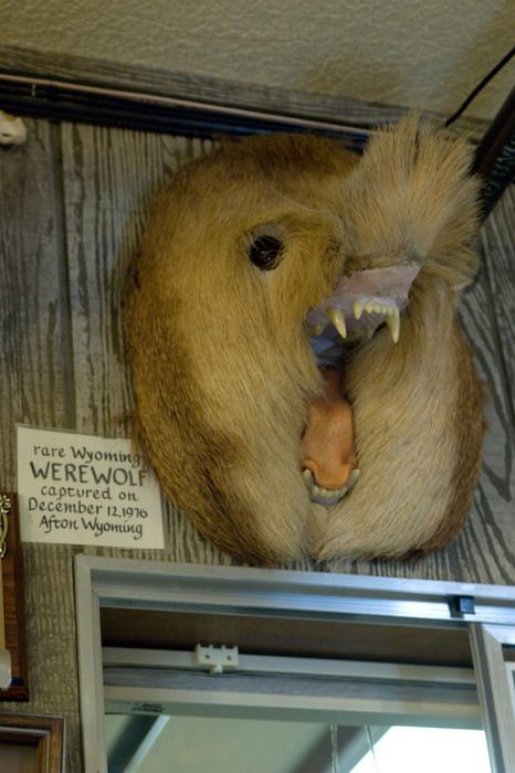 Прикольные картинки (134 фото)