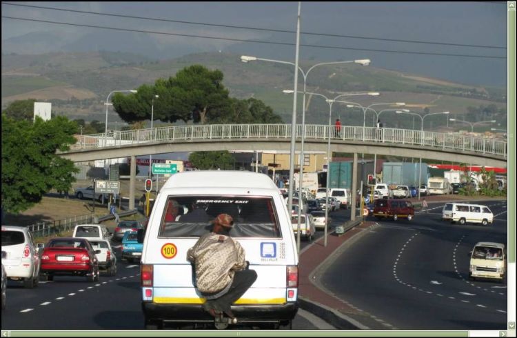 Прикольные картинки (169 фото)