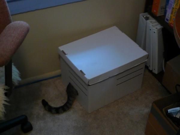 Прикольные картинки (169 фото)