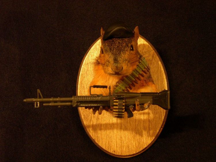 Прикольные картинки (169 фото)