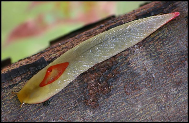 Прикольные картинки (145 фото)