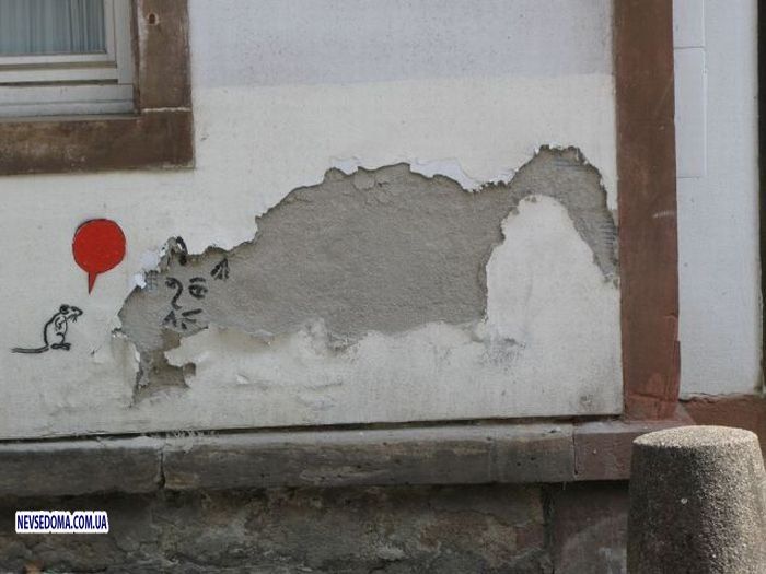 Прикольные картинки (101 фото)