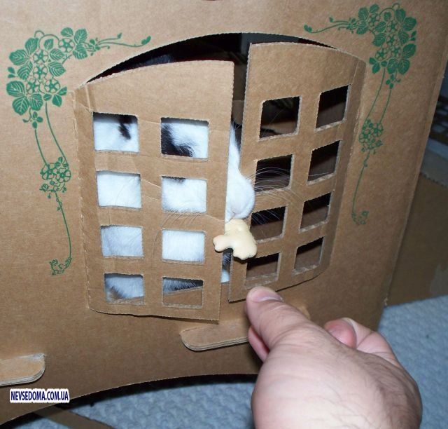 Прикольные картинки (101 фото)