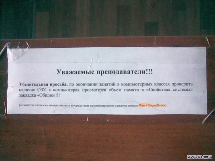 Прикольные картинки