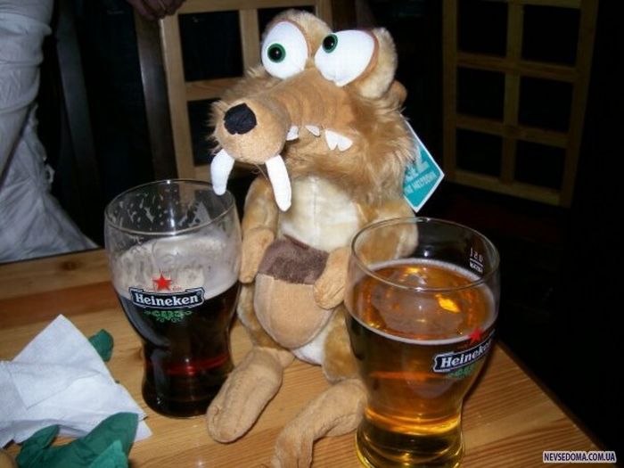 Прикольные картинки