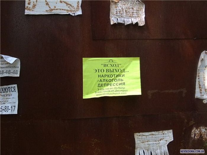 Прикольные картинки