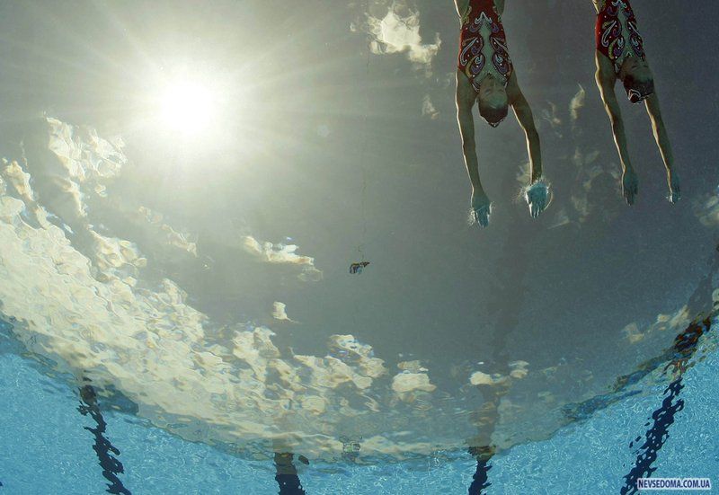 Замечательные фотографии прыгунов в воду (35 фото)