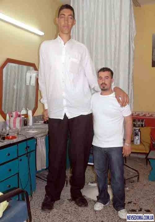 Человек ростом 2 40. Рост 2 метра.