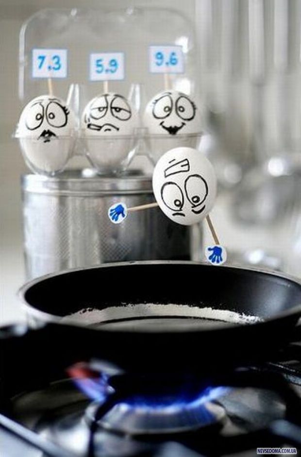 Секретная жизнь яиц