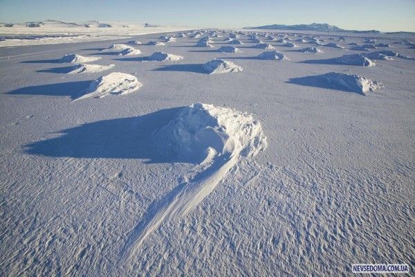 Антарктика (33 фото)