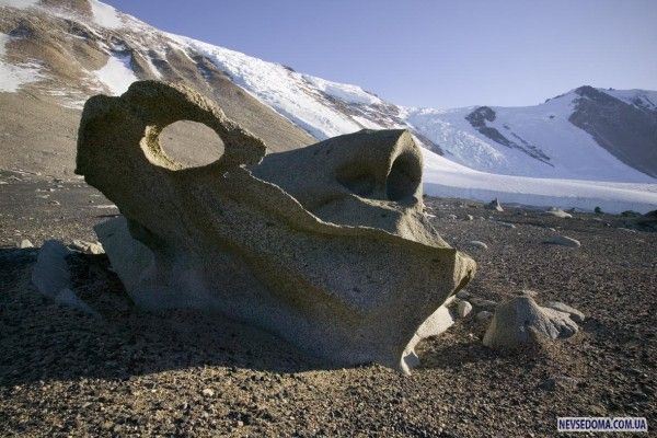 Антарктика (33 фото)