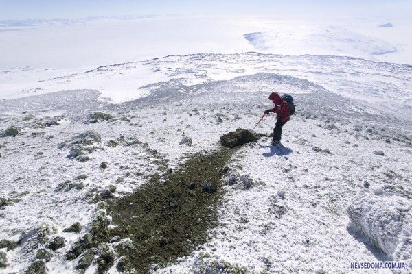 Антарктика (33 фото)