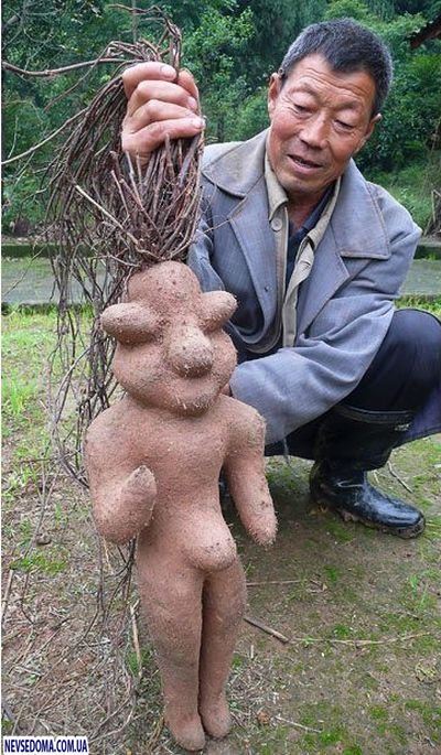 Прикольные картинки (115 фото)