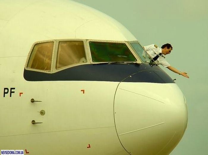 Прикольные картинки (115 фото)