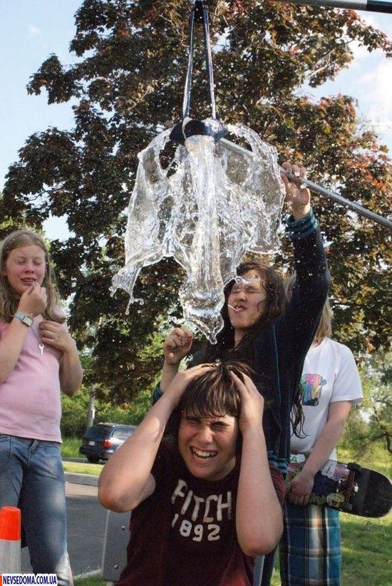 Прикольные картинки (115 фото)