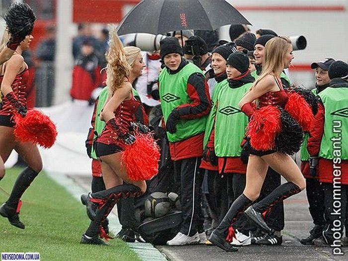 Прикольные картинки (115 фото)