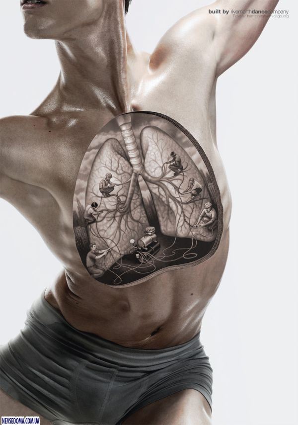 Прикольные картинки (115 фото)