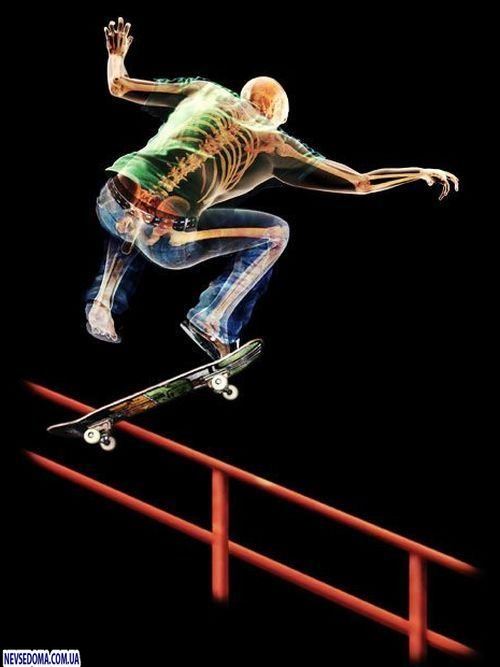 Прикольные картинки (135 фото)