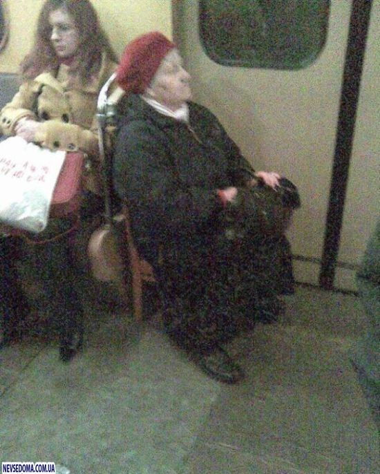 Прикольные картинки (135 фото)