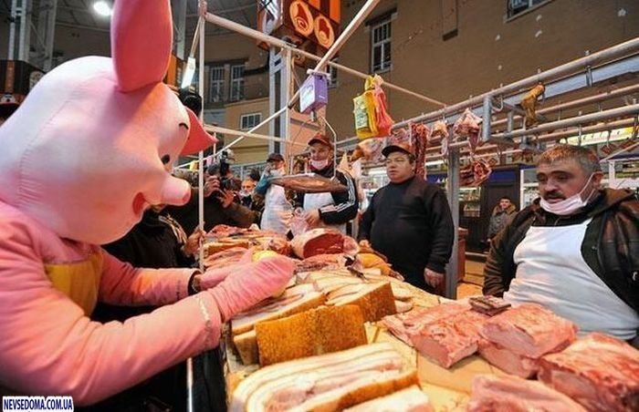 Прикольные картинки (135 фото)