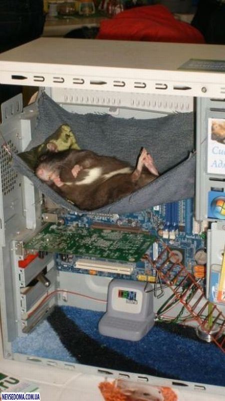 Прикольные картинки (135 фото)