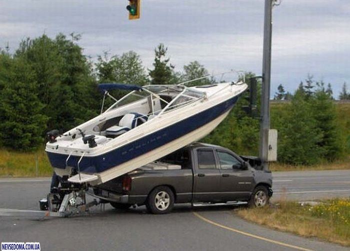 Прикольные картинки (135 фото)