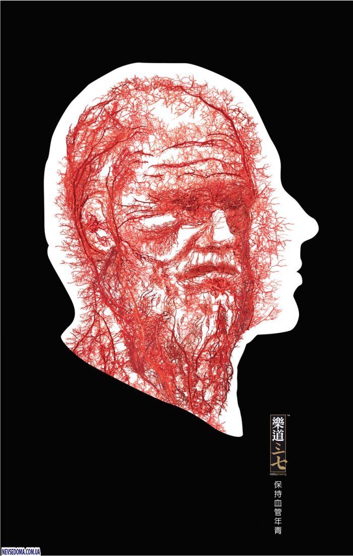 Прикольные картинки (131 фото)