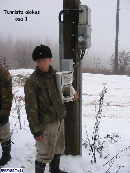 Прикольные картинки