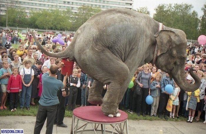 Прикольные картинки