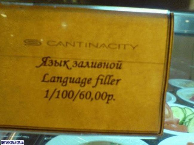 Прикольные картинки