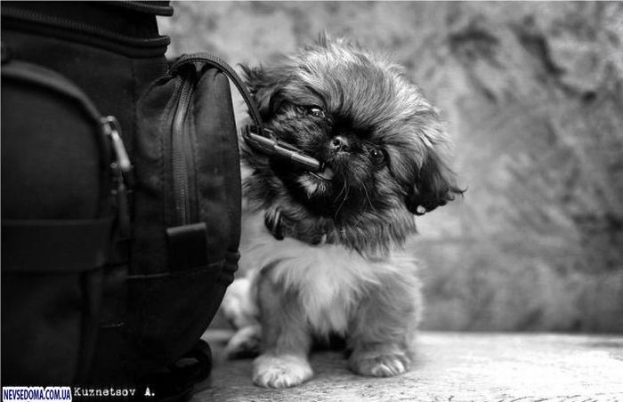 Прикольные картинки