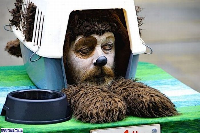 Прикольные картинки