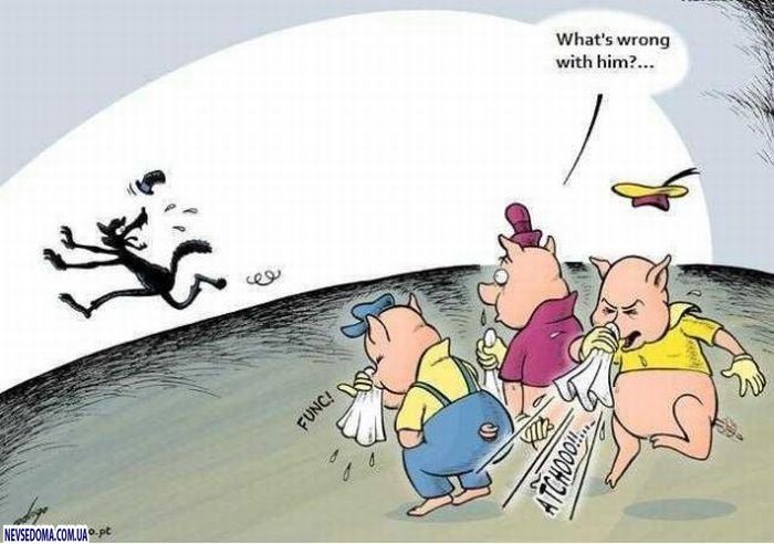 Прикольные картинки