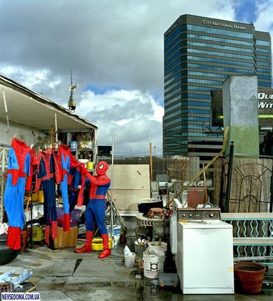 Прикольные картинки