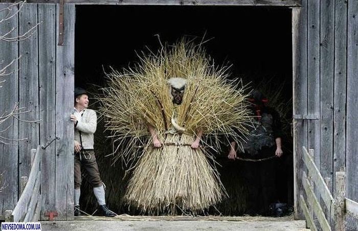 Прикольные картинки (102 фото)