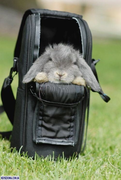 Прикольные картинки (128 фото)