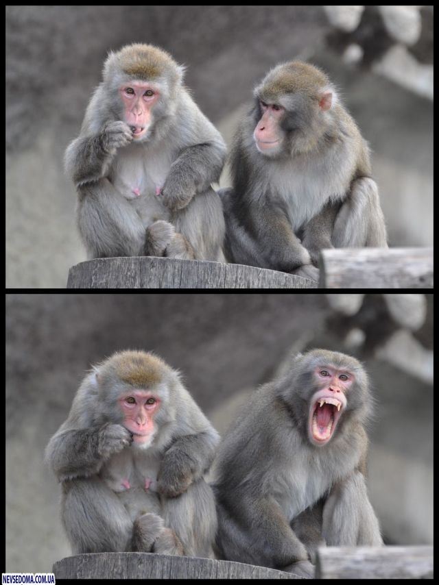 Прикольные картинки (128 фото)