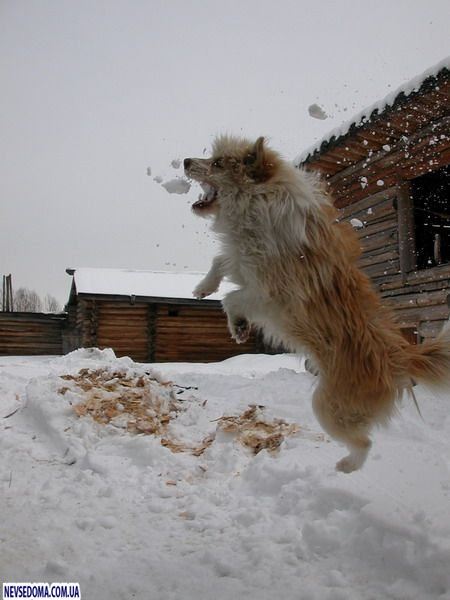 Прикольные картинки (128 фото)